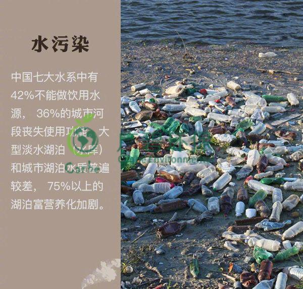 世界地球日 我們能為地球做些什么？(圖2)