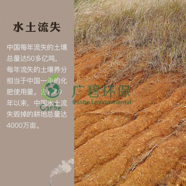 世界地球日 我們能為地球做些什么？(圖7)