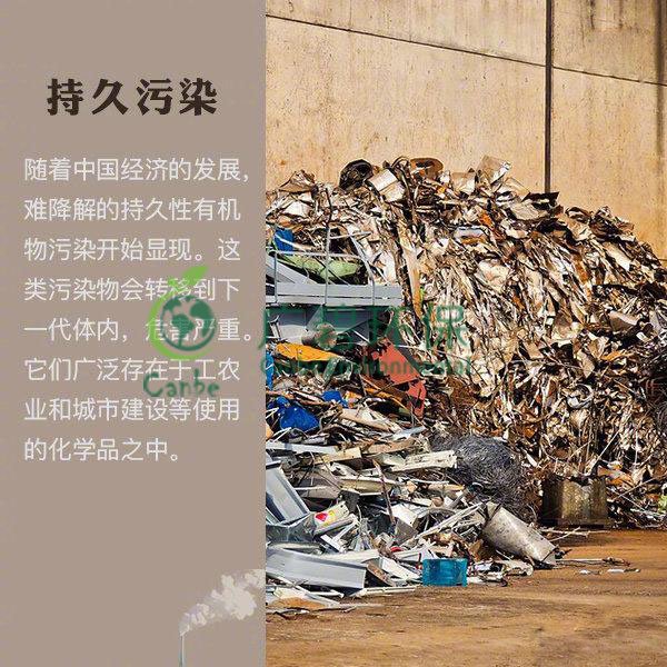 世界地球日 我們能為地球做些什么？(圖8)