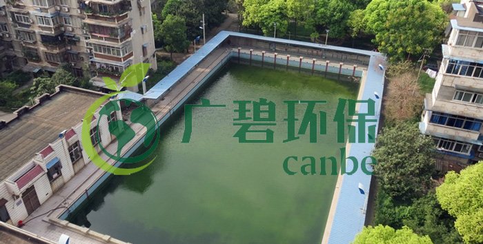 游泳池水變綠是什么原因？游泳池水處理方法(圖1)