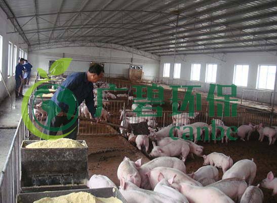 什么是養(yǎng)殖廢水？養(yǎng)殖廢水處理工藝(圖1)