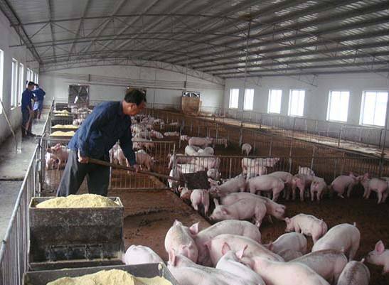 什么是養(yǎng)殖廢水？養(yǎng)殖廢水處理工藝