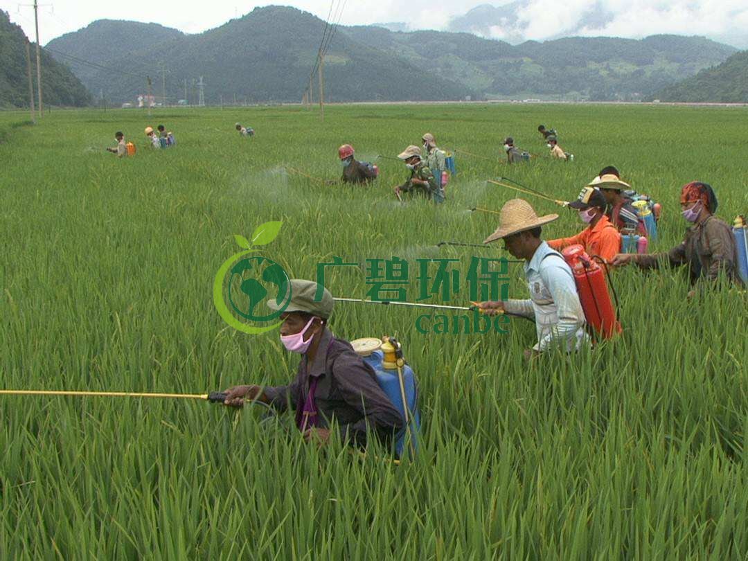 農(nóng)藥廢水是什么？農(nóng)藥廢水特點與處理工藝(圖1)