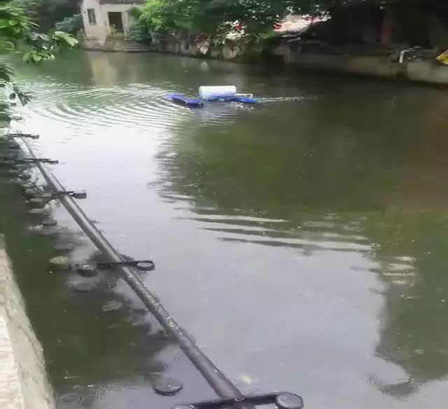 廣東公布省級河湖最新河湖長名單！