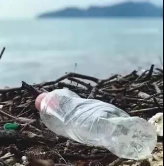 世界地球日|珍愛地球，人與自然和諧共生(圖8)