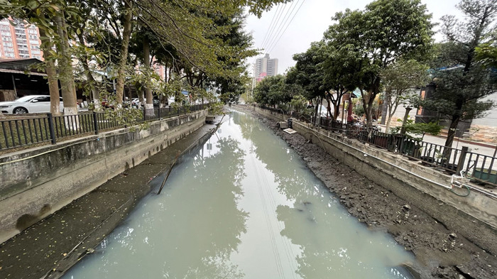 順德大良石洛涌、八坊涌整治見成效(圖3)